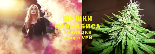 дурь Богданович