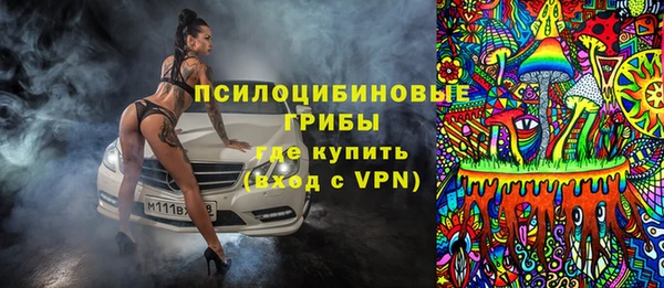 ГАЛЛЮЦИНОГЕННЫЕ ГРИБЫ Богородск