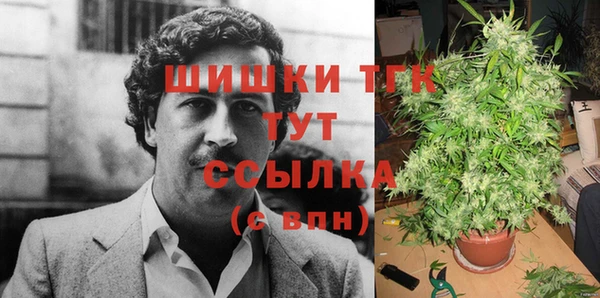 ГАЛЛЮЦИНОГЕННЫЕ ГРИБЫ Богородск