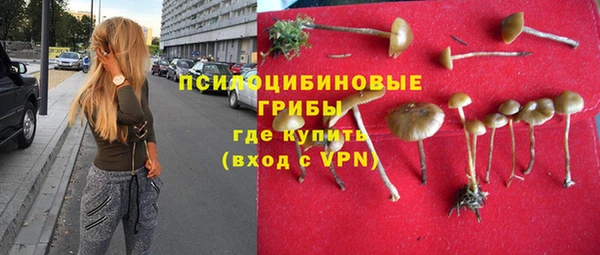 дурь Богданович