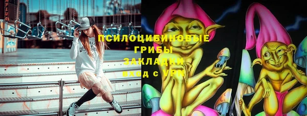 дурь Богданович