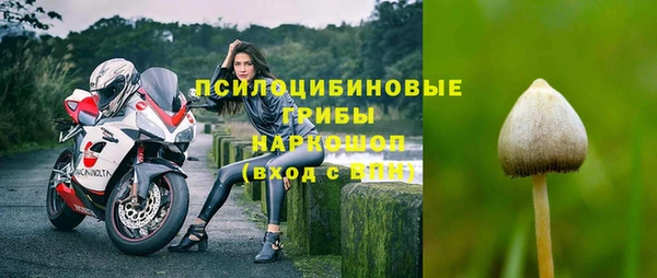 дурь Богданович